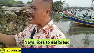 SUKA MAKAN KUE