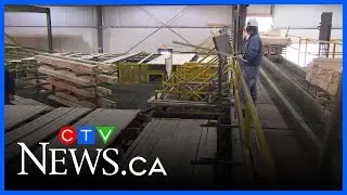 PM announces relief package for Maritime softwood lumber companies