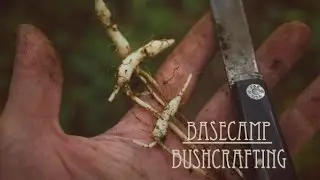 Basecamp Bushcrafting