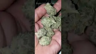 Slapz Strain Review