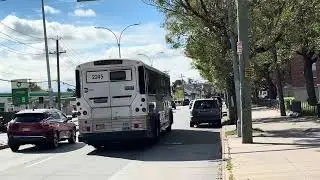MTA | 2013 MCID4500CT #2246 On The BM2 To Midtown Manhattan In Canarsie