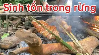 Sinh tồn trong rừng với thời tiết bão số 3 WiPha! Rừng Tây Bắc 