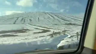 Cow down !!!