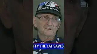Fluffy Cat saves 84 year old man's life after fall. #cat #short #remixshort #shorts30