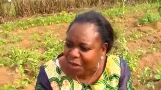 PF Cadres Attack UPND Campaign Team In Shiwangandu