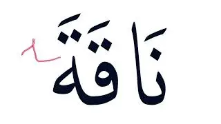 Leçon d'arabe 25: lecture et révision