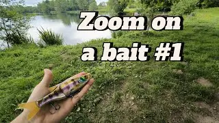 Zoom on a bait #1: le Glide bait