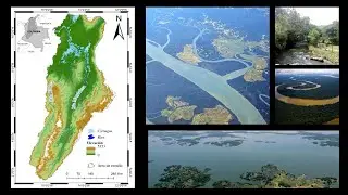 Modelaci&oacute;n de nichos ecol&oacute;gicos como herramientas para predecir la distribuci&oacute;n de la #Sabaleta...