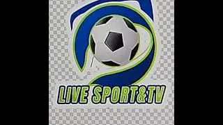 LATIN AMERICA SOCCER LEAGUE