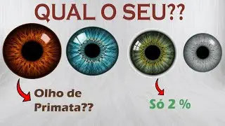 A Origem dos Seus Olhos Explicada em 5 minutos.