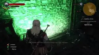 The Witcher 3: Wild Hunt | A Towerful Of Mice - Explore The Tower