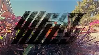 West Hues - Honey Sting (Official Music Video)