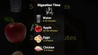 How Long does it take to Digest Each Food🕓 #shorts