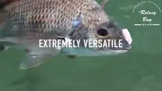 🎣 Top High Performance Lure 🎣 - The Only Bait You Need To Never Miss A Catch