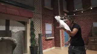 Jack Hanna's Animal Encounters Village Experience