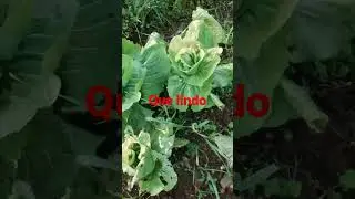 minhas planilhas #2