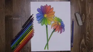 Pencil color rainbow daisies - Virtual McArt