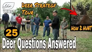 25 Advanced Deer Hunting And Habitat Strategies