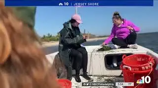 College Students Work to Restore Protective Eelgrass Off NJ Shore