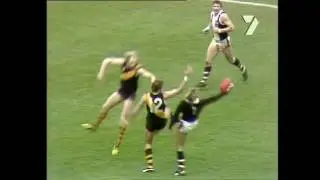 Trevor Barker Best Marks