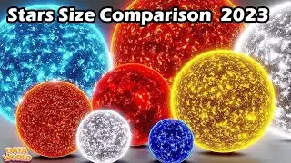 3d | eggs size comparison 