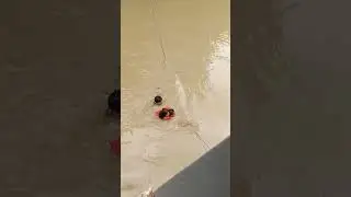 Flood in Imphal 😭😭#manipur #viralvideo