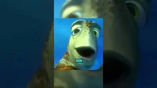 Finding Nemo sea turtle detail