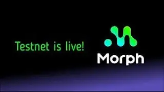 Morph testent -  my review