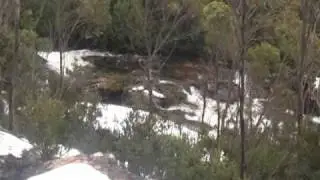 Hartz in Winter