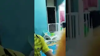 Momo Challenge Gone Wrong: Watch My Son's Adorable but Hilarious Copycat Fail