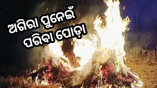 ଆସ ଅଗି ଜାଳିବା//ଅଗିରା ପୂଣ୍ଣିମା ବିଧି #trending #foryou #love #agirapurnima 