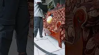 Cerita ku 