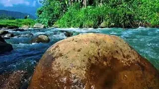 Tranquil Water Flow | Peaceful River Ambience for Sleep