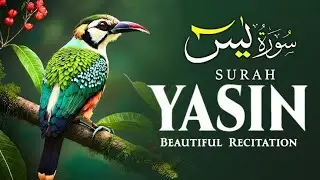 SURAT RAHMAN #quran #capcut #shortvideo #longvideo #allmuslimcountry #worldnews #allahuakbar
