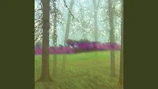 Dusk Light