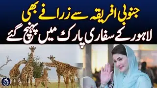 Giraffes Arrive from South Africa | Lahore Safari Park | Punjab CM Announcement - Pakistan news