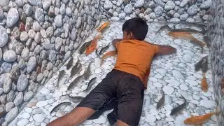 Unavailable Fish Tank Cleaning !! Little Boy Working in Aquarium  Clean 4K Ultra