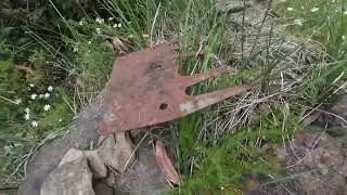 Mountain Bike Dinner Plain and Omeo 14th January 2026