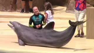 Dolphin Adventures (Full Show) - SeaWorld Orlando - July 17, 2022