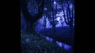 (FREE FOR PROFIT) LIL TONY | LUCKI | FANTASY TYPE BEAT