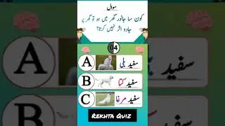 Islamic Qustions and Answers | Urdu knowledge | Urdu Quiz | Gernal Knowledge|#quiz #knowledge