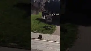 VADO M&aacute;s KI &Aacute;s VS MOTA JR (Vado invade baixada )