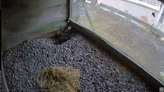 Camera 7 - 05/17/25