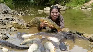 fishing techniques, trapping giant fish to sell at the market - cooking noodles, feeding little son