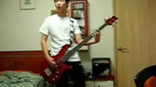 cherry filter - fly