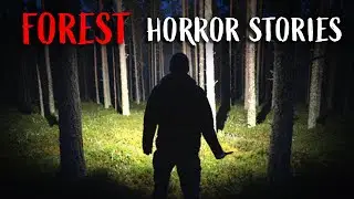 5 Scary True Forest Horror Stories