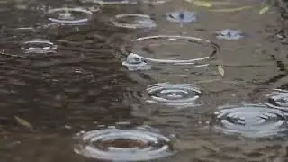 Relaxing Rain Sounds for Sleep | 10 Minutes ASMR Rain