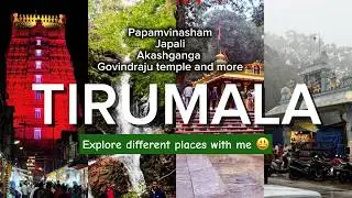 Tirumala in 1 Day: Ultimate Guide to Darshan, TTD Prasad, Japali, Akash Ganga & Govindaraja Temple!📍