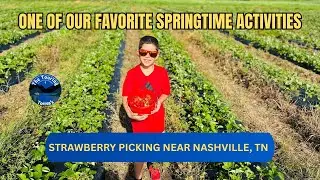RVing Tennessee | Hiking Hidden Springs | Strawberry Picking |Nashville Food Adventures | Ep 38