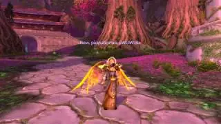 Накидка/рубашка пылающих крыльев uWoW/Epicwow